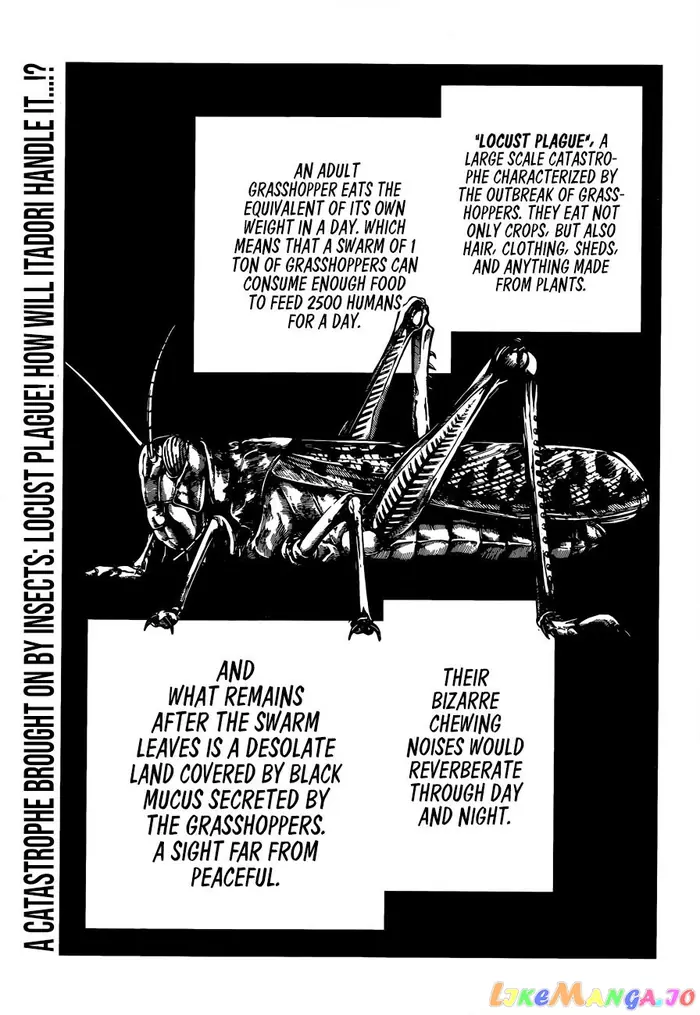 Jujutsu Kaisen Chapter 87 image 01_optimized